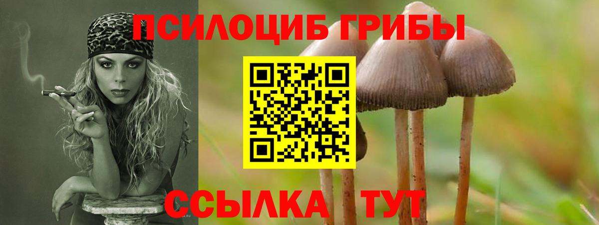 Избербаш  где продают наркотики  Вход с VPN  Псилоцибиновые грибы ЛСД 